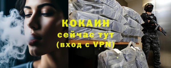 спайс Бородино