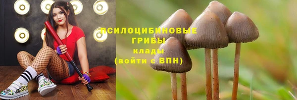 спайс Бородино
