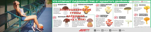 спайс Бородино