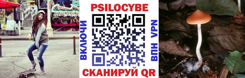 площадка клад  купить закладку  Люберцы  Псилоцибиновые грибы мухоморы 