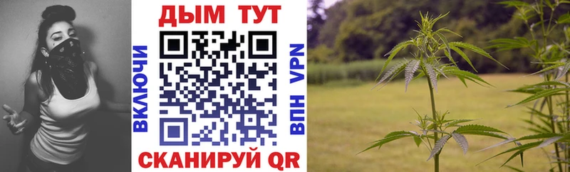 Конопля планчик  где найти наркотики  Люберцы 
